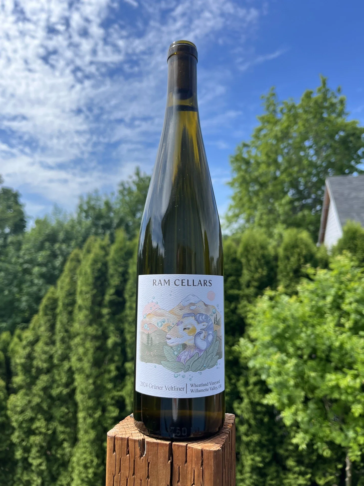 RAM Cellars 2024 Grüner Veltliner — RAM Cellars